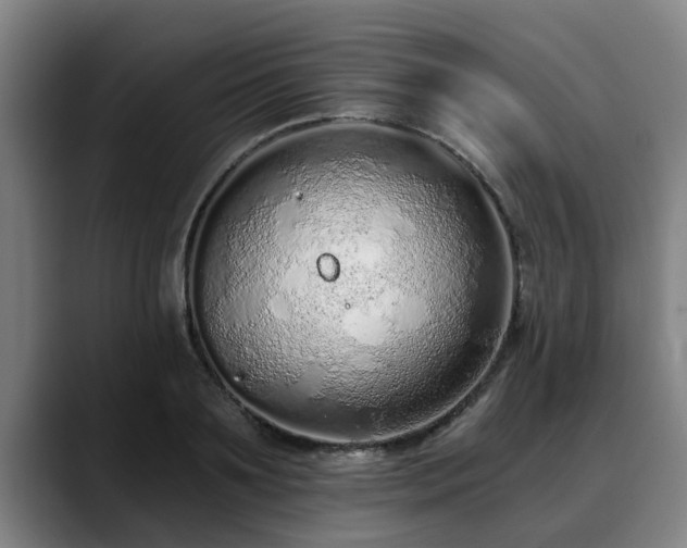 X0000088840891200706141537