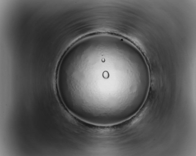 X0000088840895200706141536