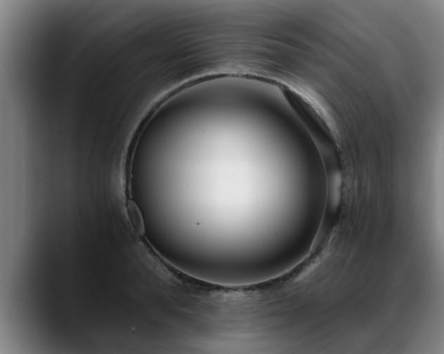 X0000088840896200706141536