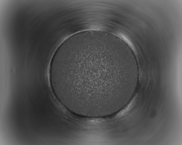 X0000088840899200706141536