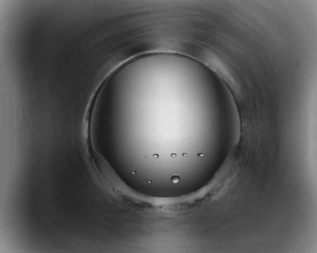 X0000088840900200706141536