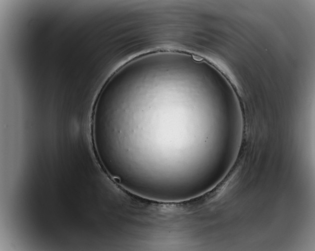 X0000088840903200706141536