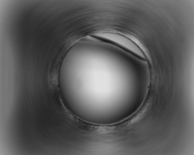 X0000088840905200706141536