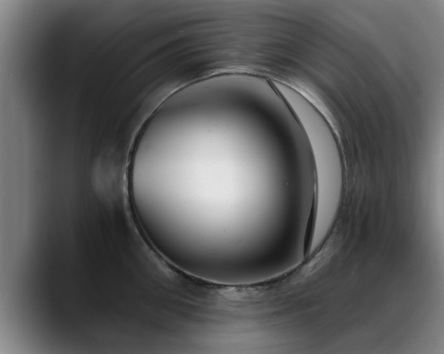 X0000088840906200706141536