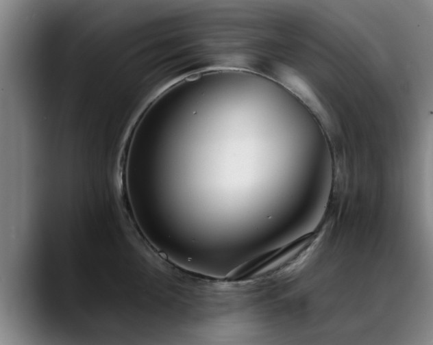 X0000088840908200706141536