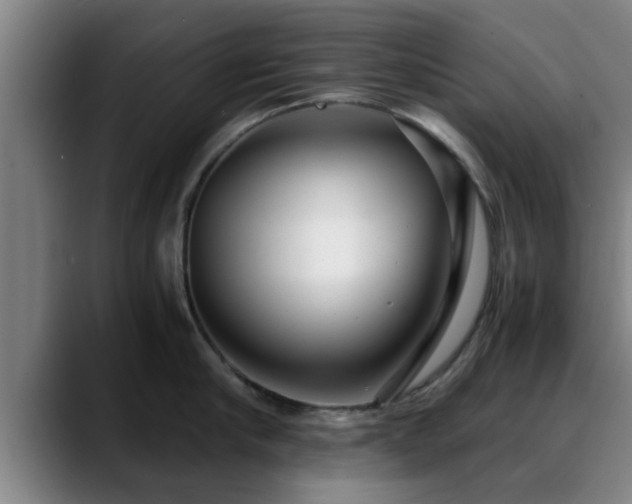 X0000088840910200706141536