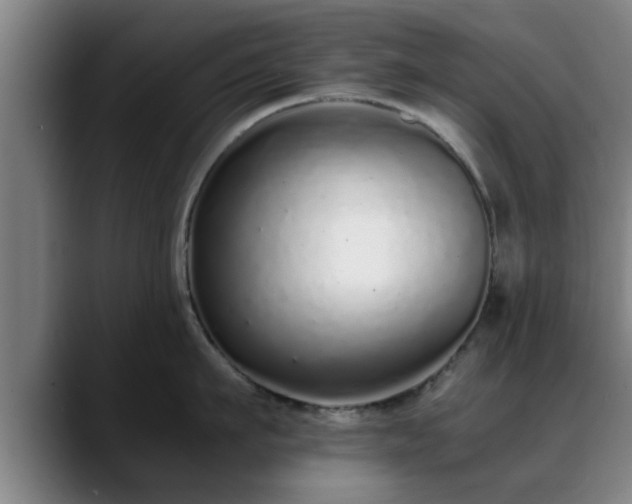 X0000088840911200706141536