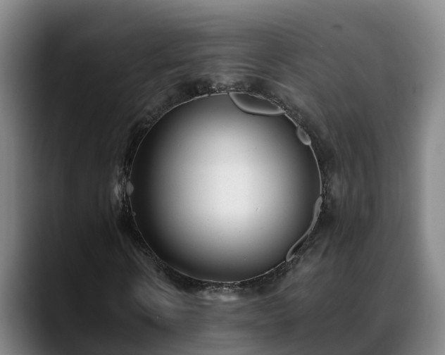 X0000088840914200706141536