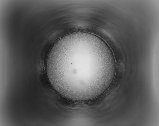 X0000088840918200706141536