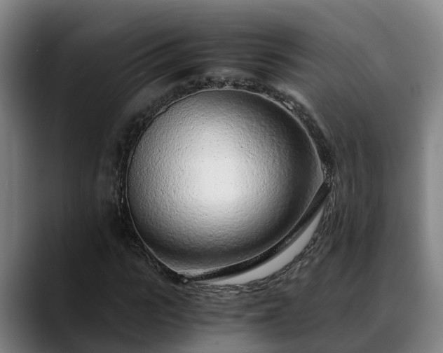 X0000088840919200706141536