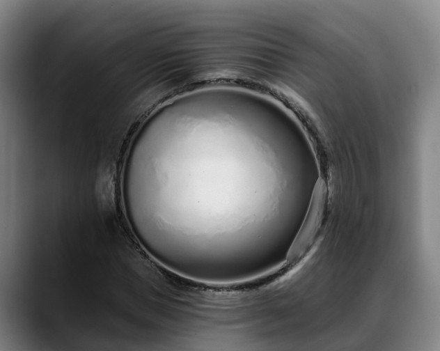 X0000088840921200706141536