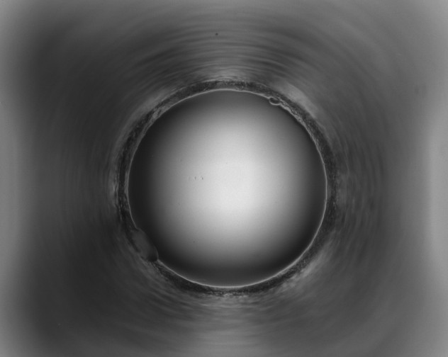 X0000088840922200706141536