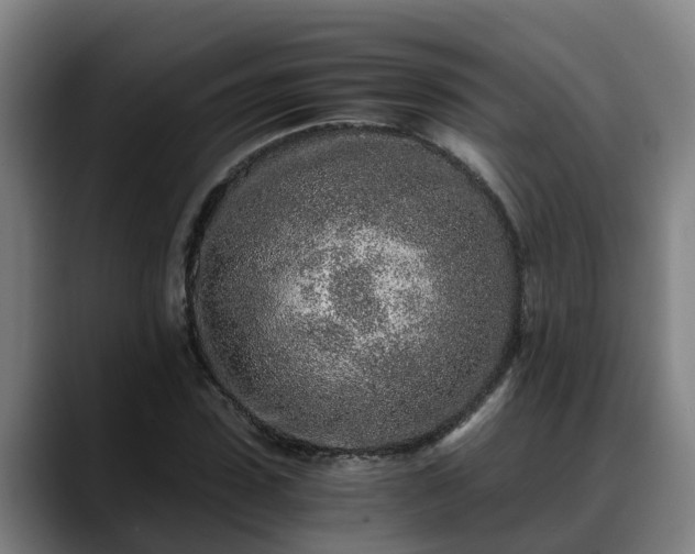 X0000088840923200706141536