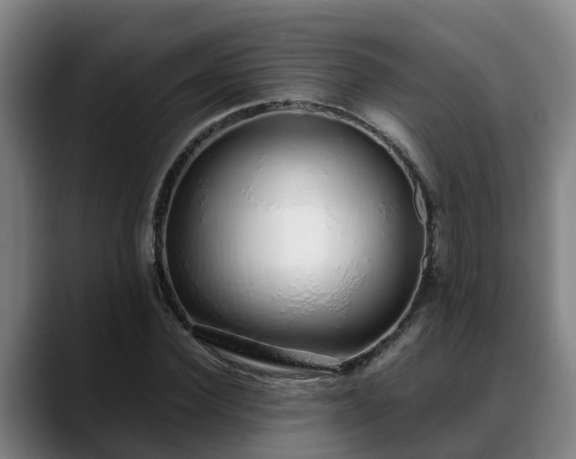 X0000088840924200706141536