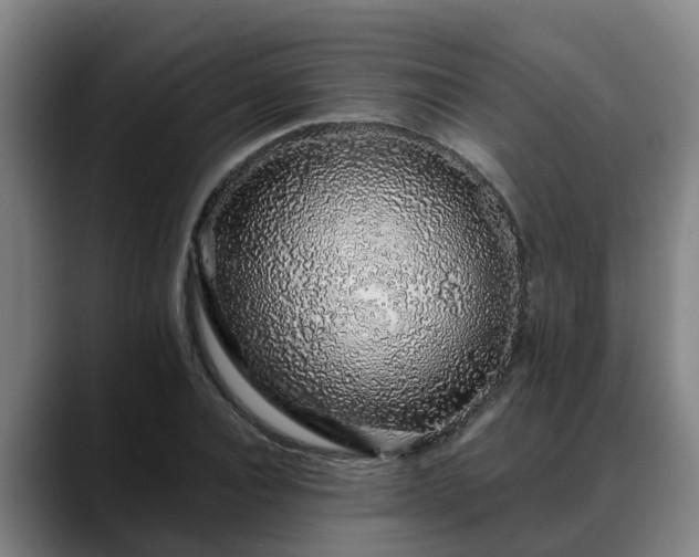 X0000088840928200706141536