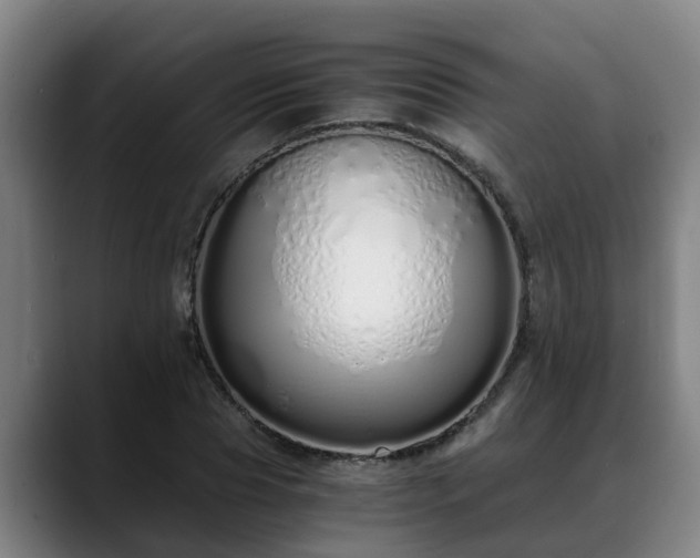 X0000088840929200706141536