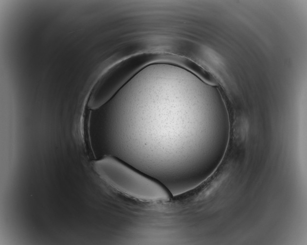 X0000088840932200706141536