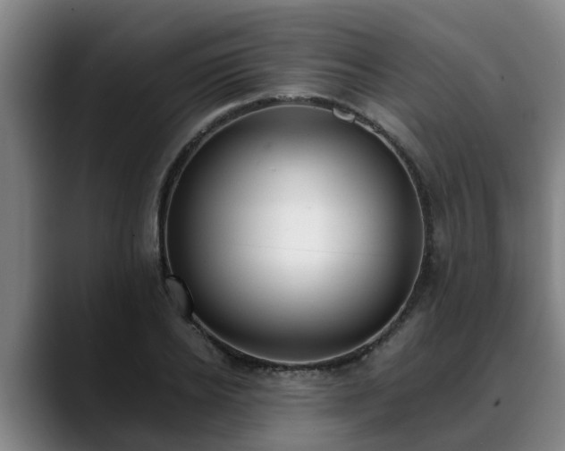 X0000088840934200706141536