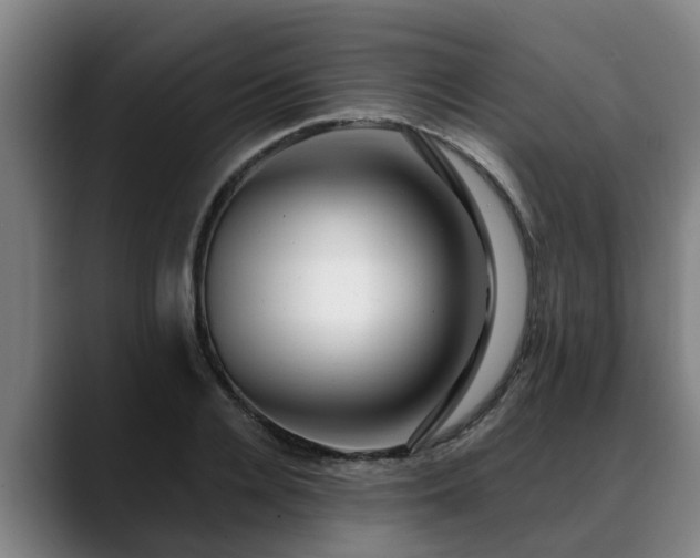 X0000088840936200706141536