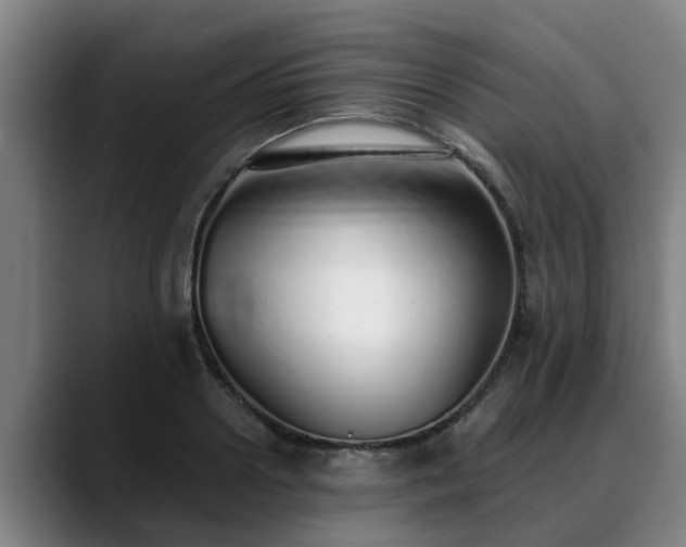 X0000088840938200706141536