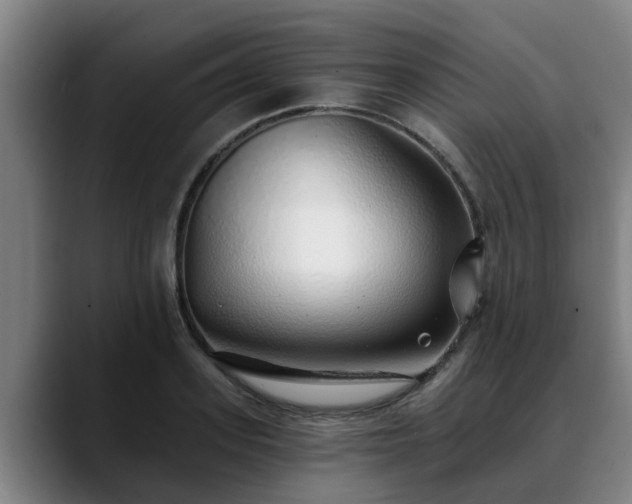 X0000088840939200706141536