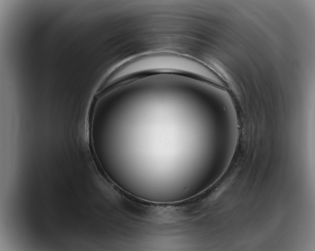 X0000088840940200706141536