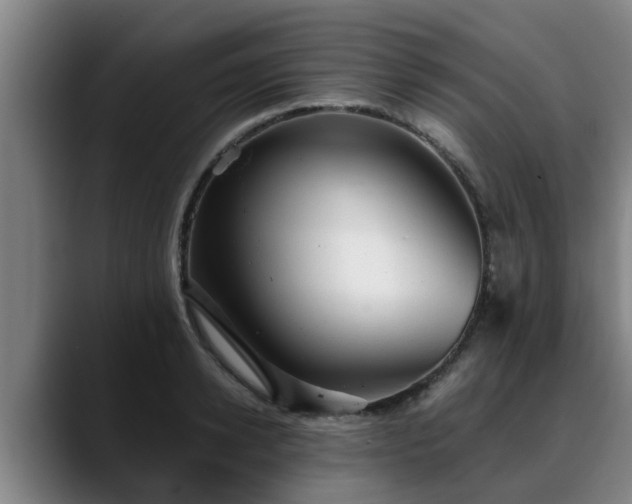 X0000088840942200706141536