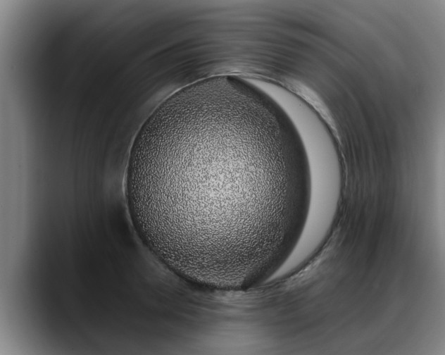 X0000088840946200706141536