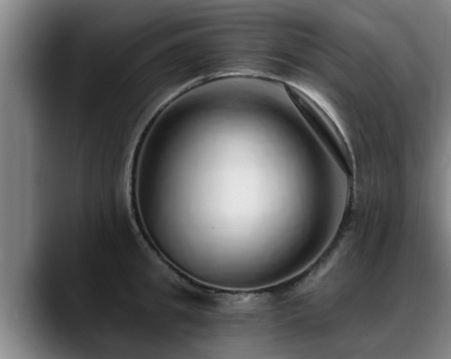 X0000088840949200706141536