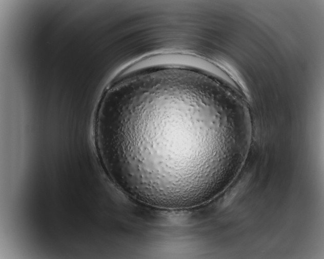 X0000088840952200706141536