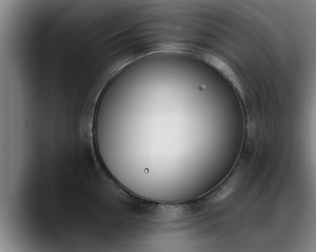 X0000088840954200706141536