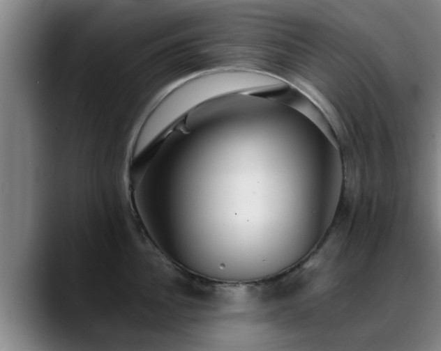 X0000088840956200706141536