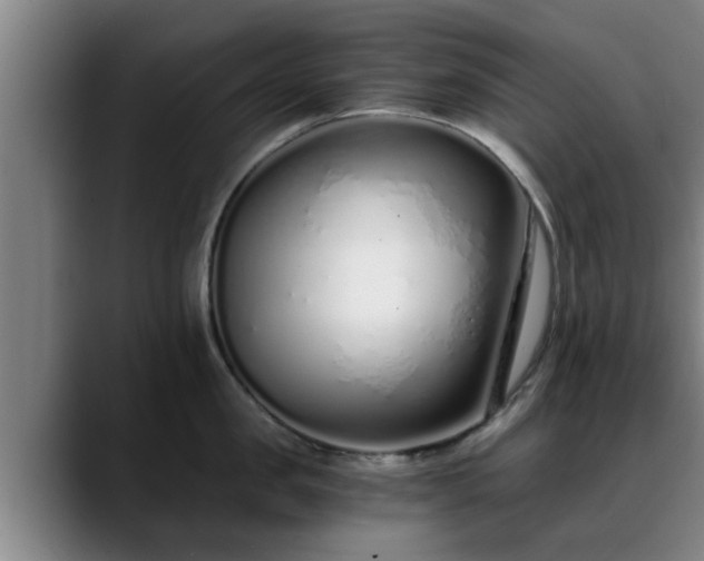 X0000088840957200706141536