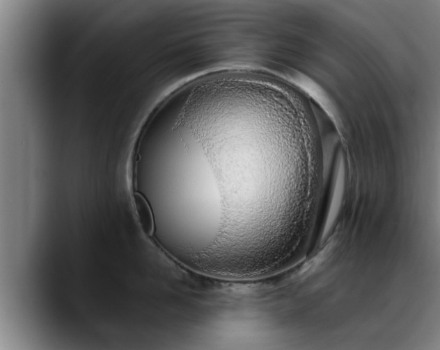 X0000088840958200706141536