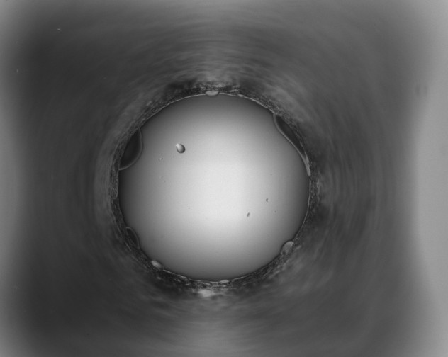 X0000088840961200706141536