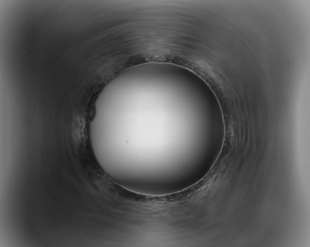 X0000088840964200706141536