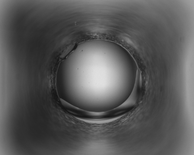 X0000088840965200706141536