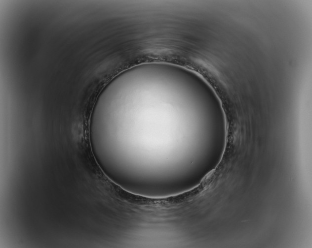 X0000088840966200706141536