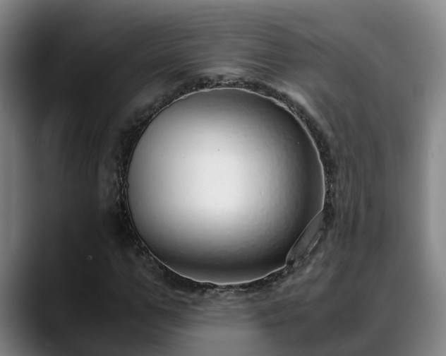 X0000088840967200706141536