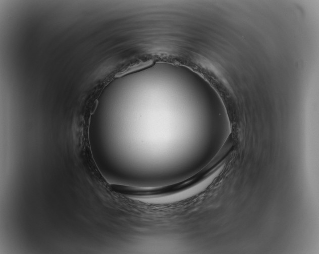 X0000088840968200706141536