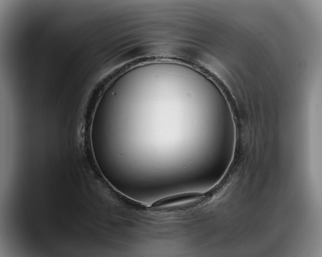 X0000088840971200706141536