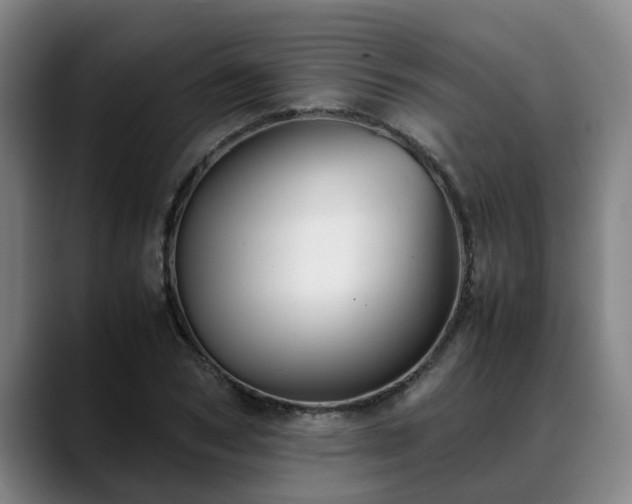 X0000088840978200706141535