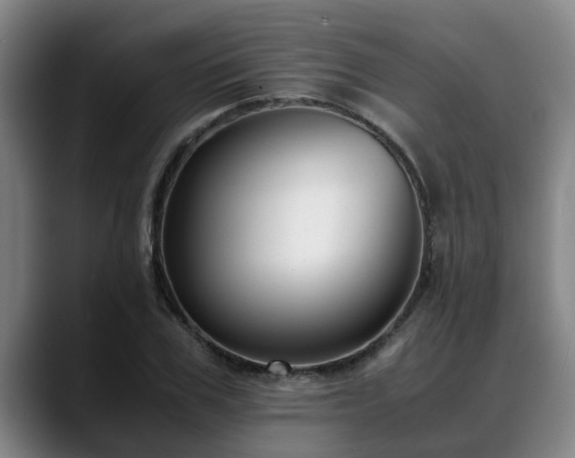 X0000088840979200706141535