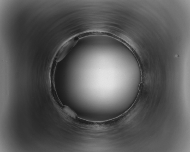 X0000088840980200706141535