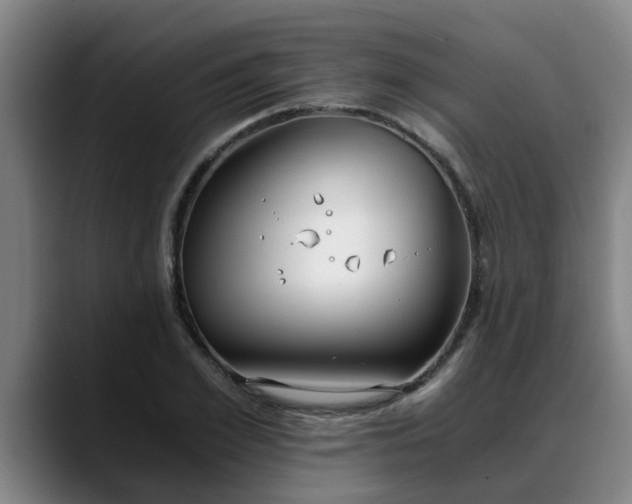 X0000088840981200706141535