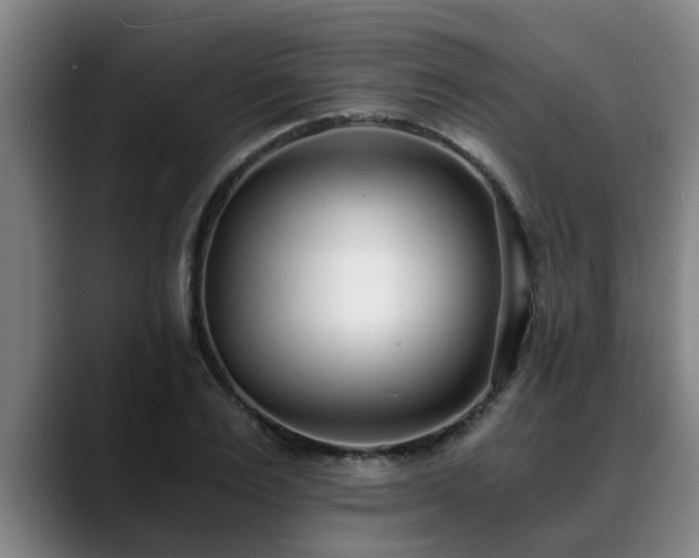 X0000088840983200706141535