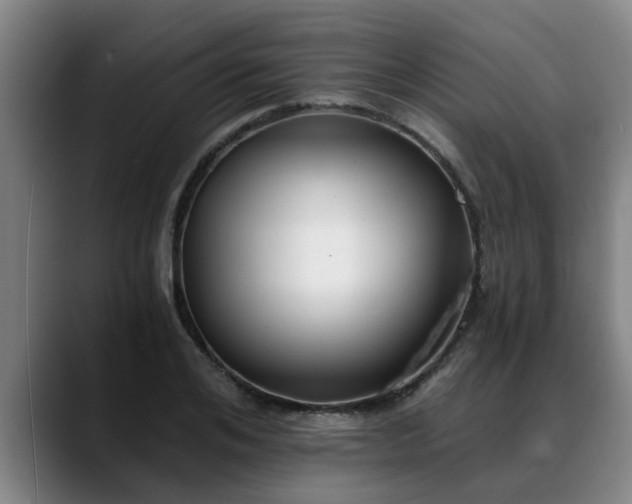 X0000088840984200706141535