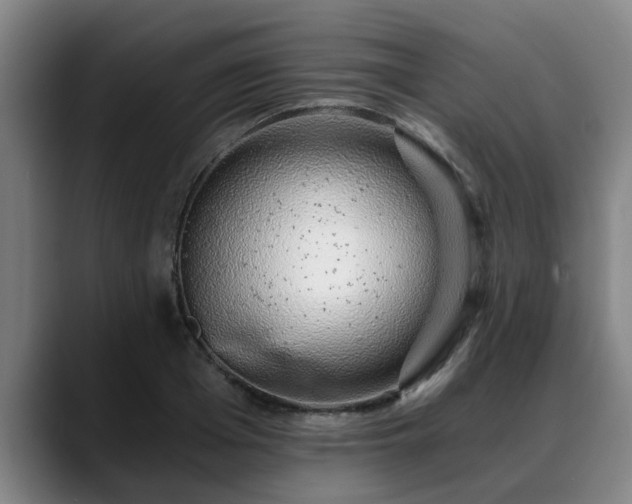 X0000088840985200706141535