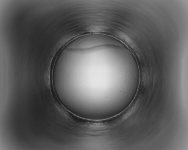 X0000088840986200706141535