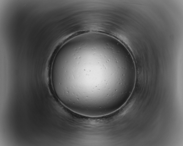 X0000088840987200706141535